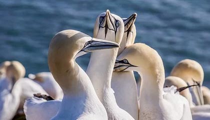 闲置大润发购物卡变现，就选这里！