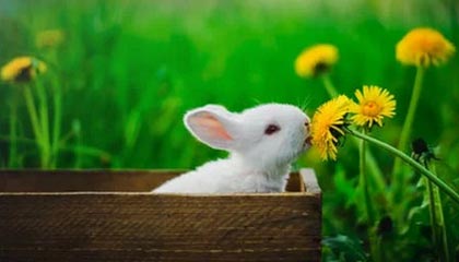 别让携程购物卡闲置，回收换钱超简单