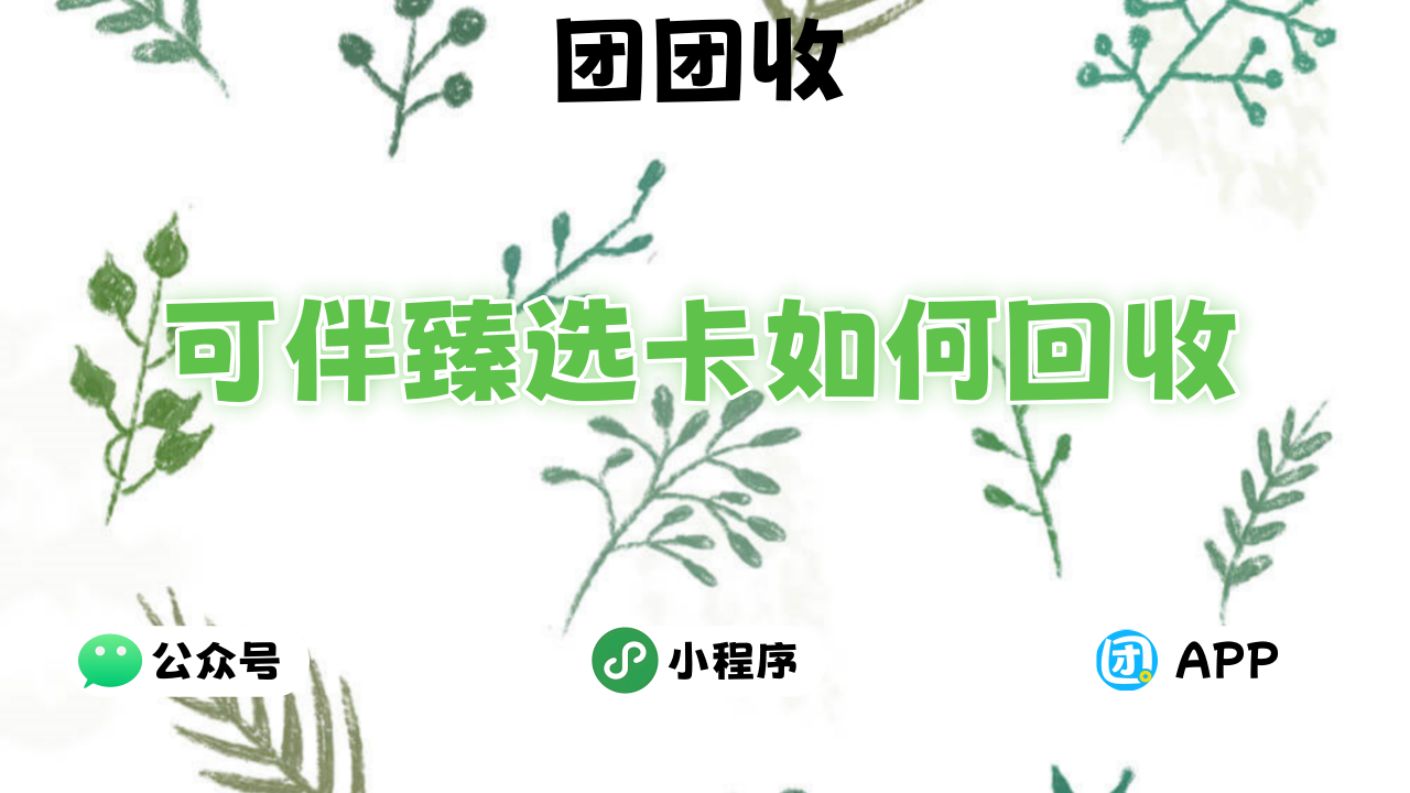 可伴臻选卡大7.png