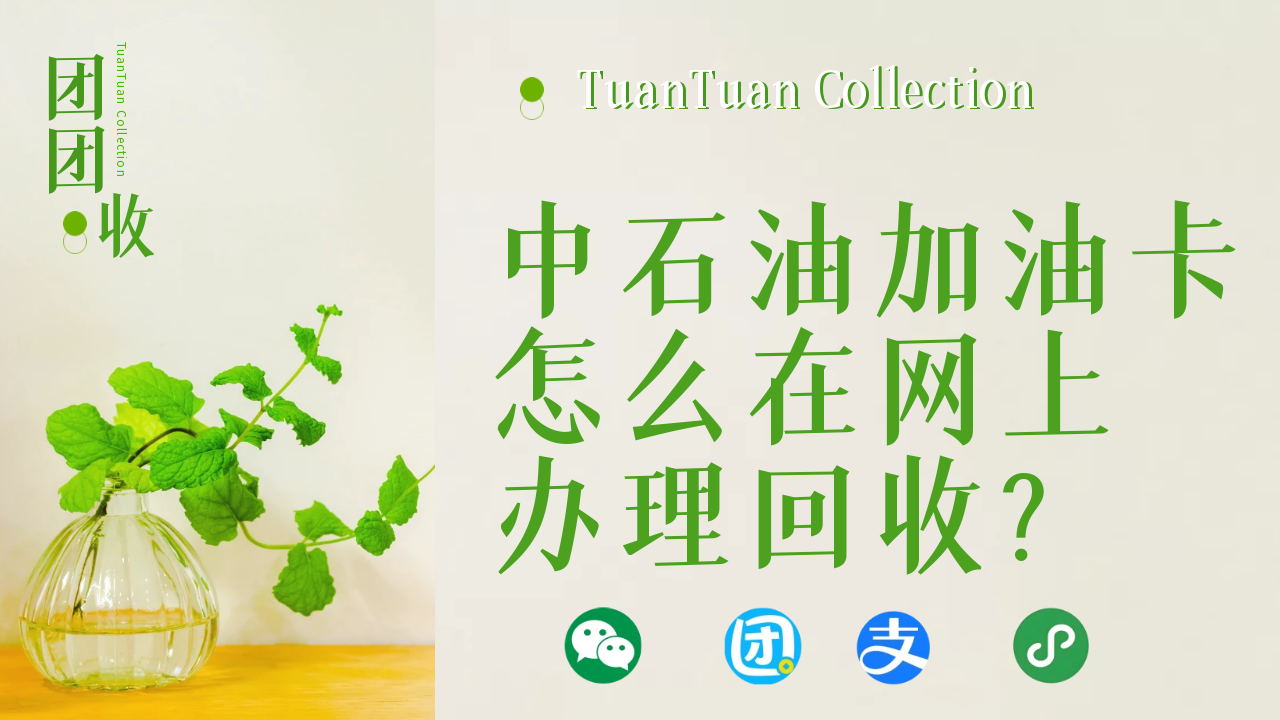 qyy主图.png